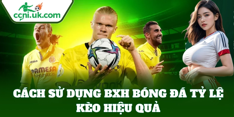 Thao tác sử dụng BXH Bóng Đá để đặt cược hiệu quả hơn