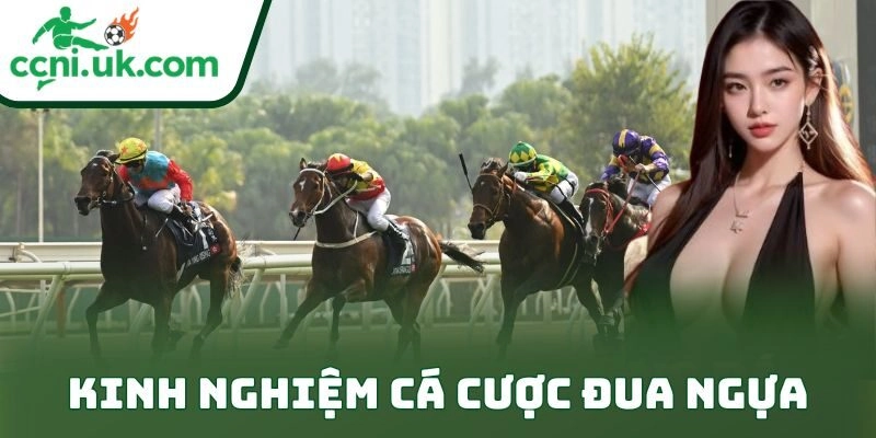 Kinh Nghiệm Cá Cược Đua Ngựa – Bí Quyết Thắng Kèo Đỉnh
