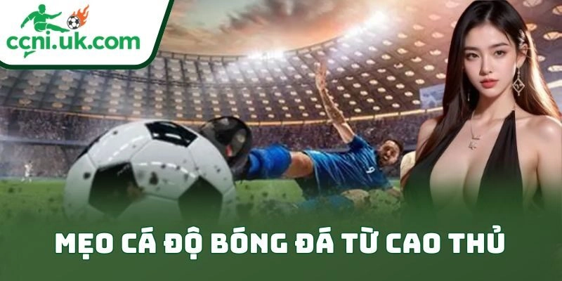 Mẹo Cá Độ Bóng Đá Từ Cao Thủ Giúp Anh Em Nghiền Kèo