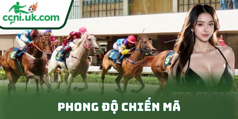 Phong độ chiến mã