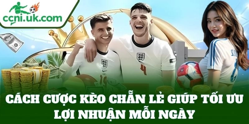 Cách Cược Kèo Chẵn Lẻ giúp tối ưu lợi nhuận mỗi ngày