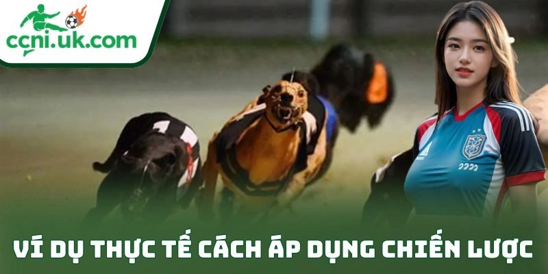 Ví dụ thực tế cách áp dụng chiến lược