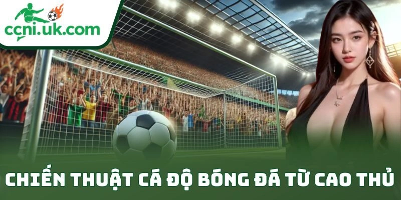 Chiến Thuật Cá Độ Bóng Đá Từ Cao Thủ Đỉnh Cao